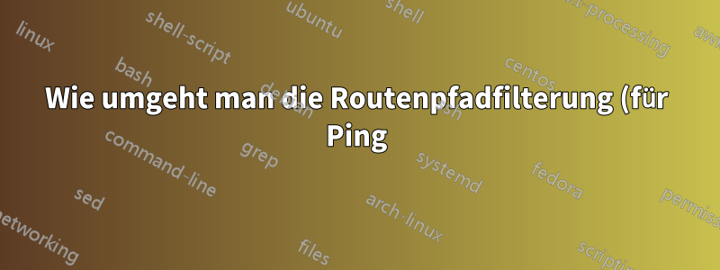 Wie umgeht man die Routenpfadfilterung (für Ping)?