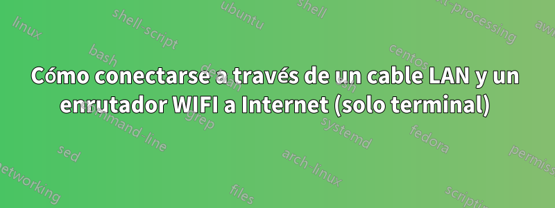 Cómo conectarse a través de un cable LAN y un enrutador WIFI a Internet (solo terminal)