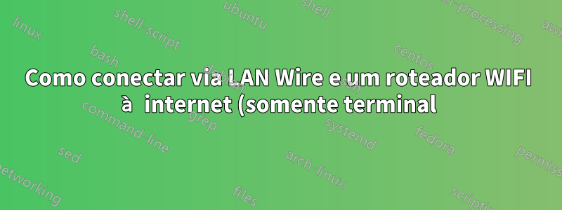 Como conectar via LAN Wire e um roteador WIFI à internet (somente terminal)