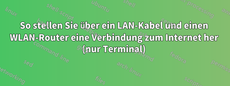 So stellen Sie über ein LAN-Kabel und einen WLAN-Router eine Verbindung zum Internet her (nur Terminal)