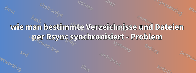 wie man bestimmte Verzeichnisse und Dateien per Rsync synchronisiert - Problem