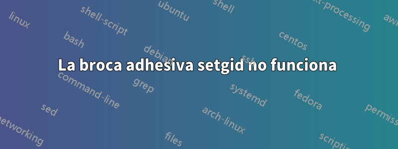 La broca adhesiva setgid no funciona