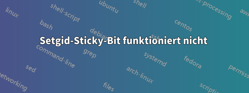 Setgid-Sticky-Bit funktioniert nicht