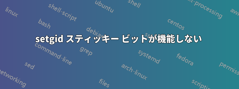 setgid スティッキー ビットが機能しない