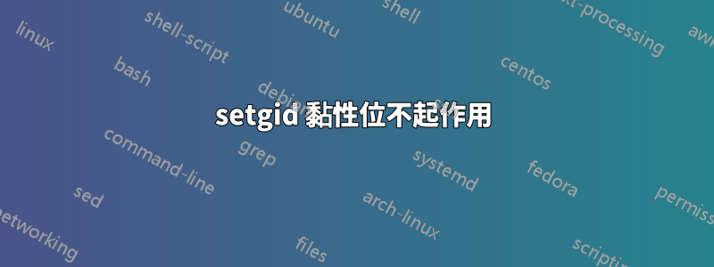 setgid 黏性位不起作用