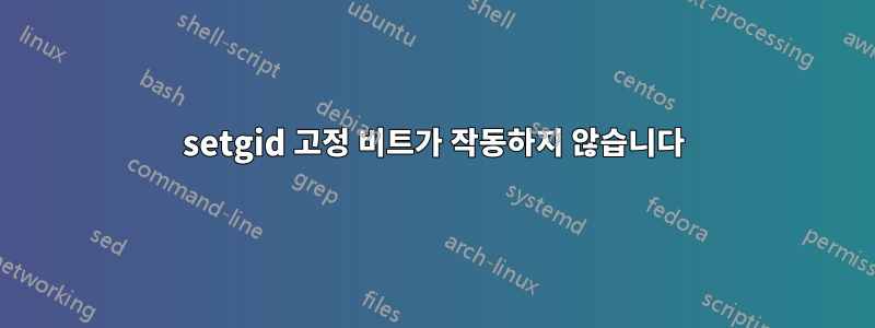 setgid 고정 비트가 작동하지 않습니다