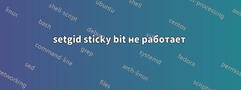 setgid sticky bit не работает