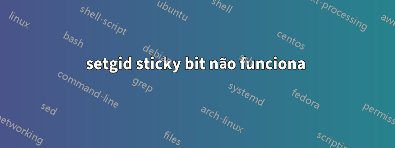 setgid sticky bit não funciona