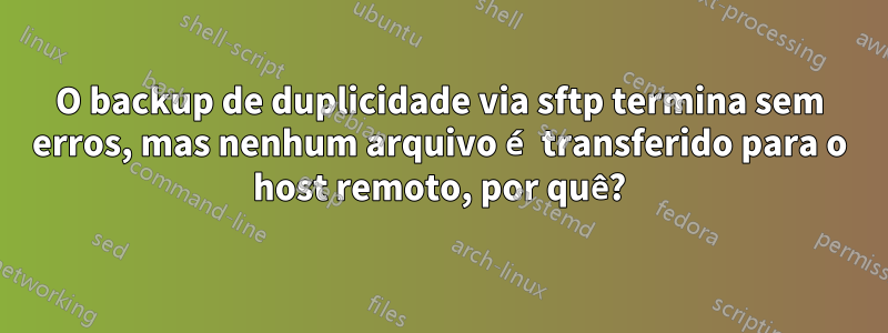 O backup de duplicidade via sftp termina sem erros, mas nenhum arquivo é transferido para o host remoto, por quê?