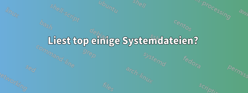 Liest top einige Systemdateien?