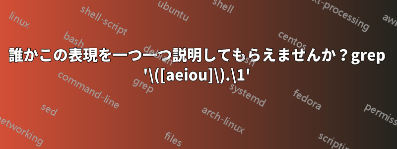 誰かこの表現を一つ一つ説明してもらえませんか？grep '\([aeiou]\).\1'