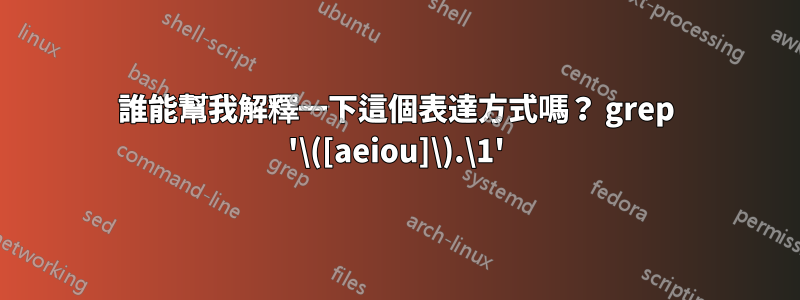 誰能幫我解釋一下這個表達方式嗎？ grep '\([aeiou]\).\1'