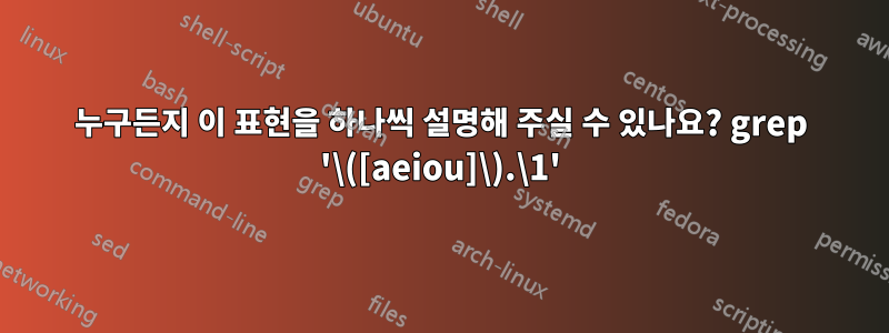 누구든지 이 표현을 하나씩 설명해 주실 수 있나요? grep '\([aeiou]\).\1'