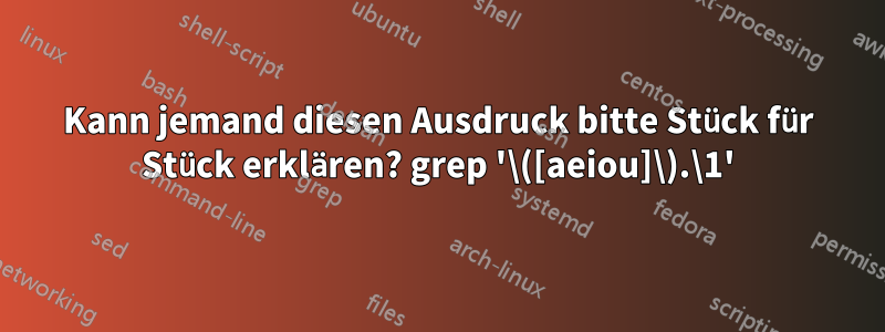 Kann jemand diesen Ausdruck bitte Stück für Stück erklären? grep '\([aeiou]\).\1'