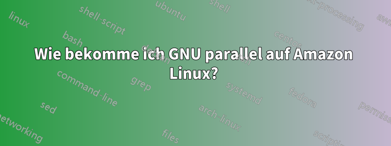 Wie bekomme ich GNU parallel auf Amazon Linux?