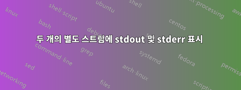 두 개의 별도 스트림에 stdout 및 stderr 표시