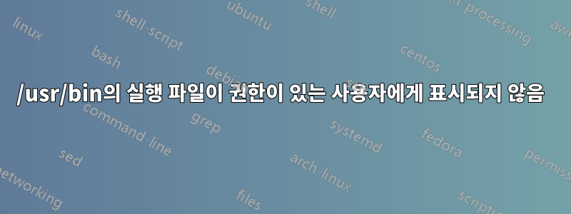 /usr/bin의 실행 파일이 권한이 있는 사용자에게 표시되지 않음 