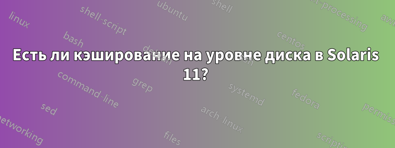 Есть ли кэширование на уровне диска в Solaris 11?