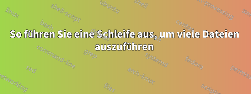 So führen Sie eine Schleife aus, um viele Dateien auszuführen