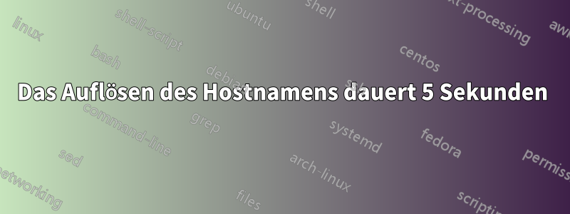 Das Auflösen des Hostnamens dauert 5 Sekunden