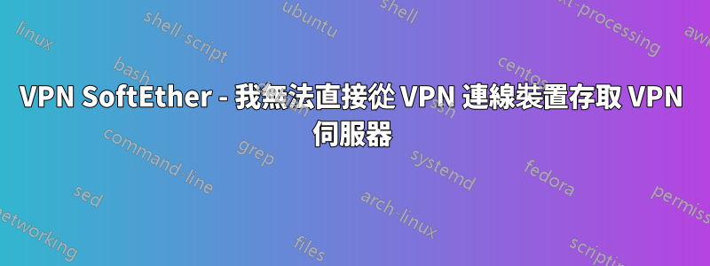 VPN SoftEther - 我無法直接從 VPN 連線裝置存取 VPN 伺服器