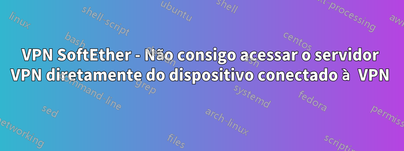 VPN SoftEther - Não consigo acessar o servidor VPN diretamente do dispositivo conectado à VPN