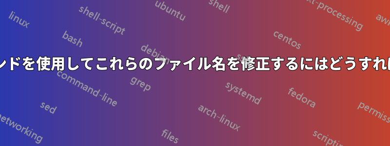 名前変更コマンドを使用してこれらのファイル名を修正するにはどうすればよいですか?