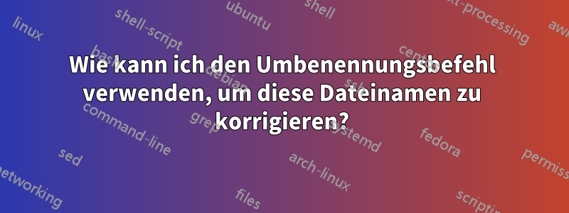 Wie kann ich den Umbenennungsbefehl verwenden, um diese Dateinamen zu korrigieren?