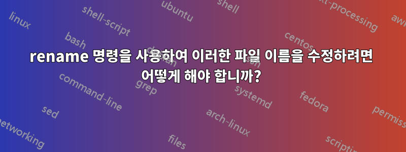 rename 명령을 사용하여 이러한 파일 이름을 수정하려면 어떻게 해야 합니까?