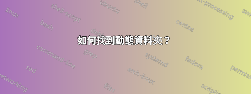 如何找到動態資料夾？