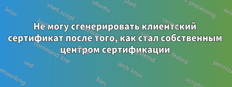 Не могу сгенерировать клиентский сертификат после того, как стал собственным центром сертификации