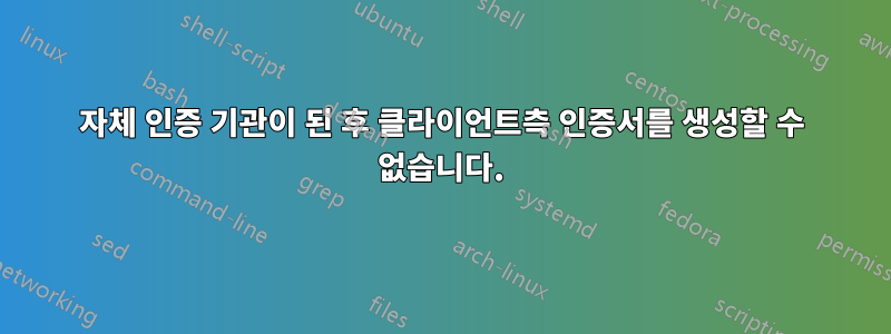 자체 인증 기관이 된 후 클라이언트측 인증서를 생성할 수 없습니다.