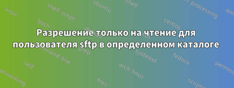 Разрешение только на чтение для пользователя sftp в определенном каталоге