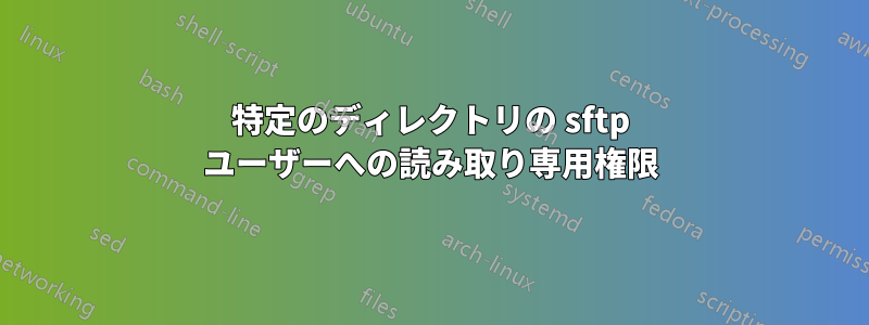 特定のディレクトリの sftp ユーザーへの読み取り専用権限