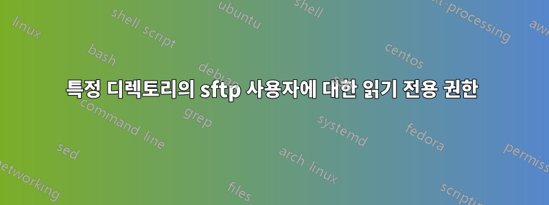 특정 디렉토리의 sftp 사용자에 대한 읽기 전용 권한