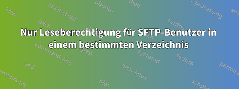 Nur Leseberechtigung für SFTP-Benutzer in einem bestimmten Verzeichnis