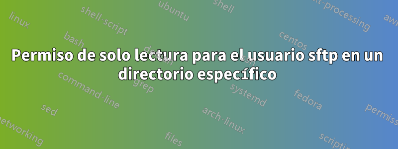 Permiso de solo lectura para el usuario sftp en un directorio específico