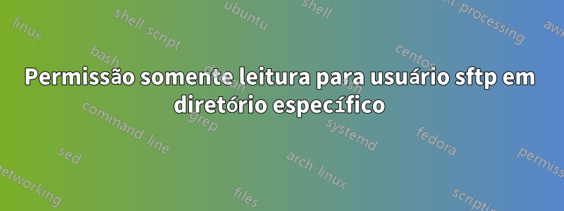 Permissão somente leitura para usuário sftp em diretório específico