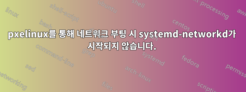 pxelinux를 통해 네트워크 부팅 시 systemd-networkd가 시작되지 않습니다.