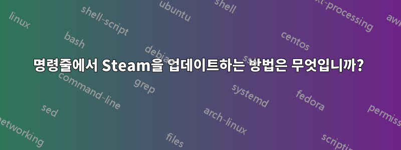 명령줄에서 Steam을 업데이트하는 방법은 무엇입니까?