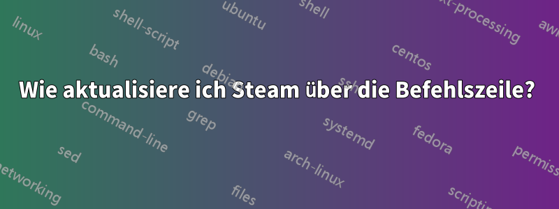 Wie aktualisiere ich Steam über die Befehlszeile?