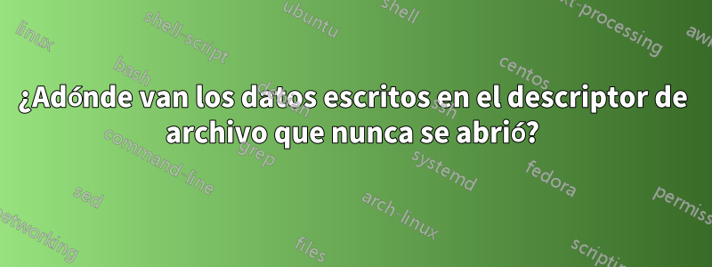 ¿Adónde van los datos escritos en el descriptor de archivo que nunca se abrió?