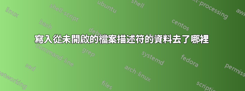 寫入從未開啟的檔案描述符的資料去了哪裡