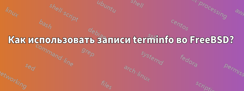 Как использовать записи terminfo во FreeBSD?