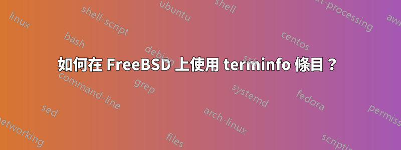 如何在 FreeBSD 上使用 terminfo 條目？