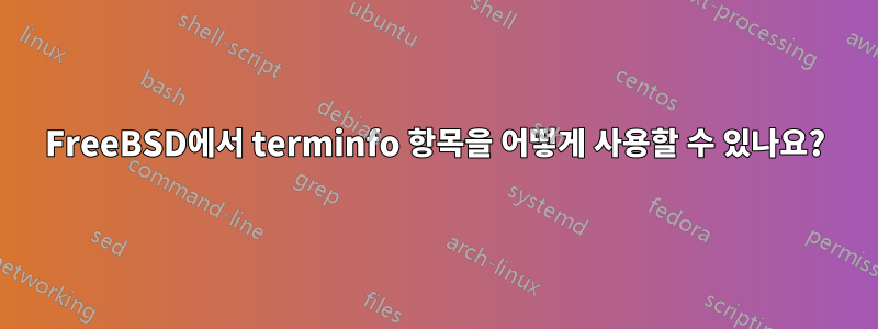 FreeBSD에서 terminfo 항목을 어떻게 사용할 수 있나요?