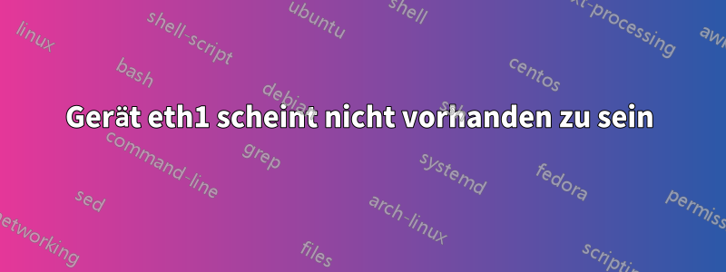 Gerät eth1 scheint nicht vorhanden zu sein