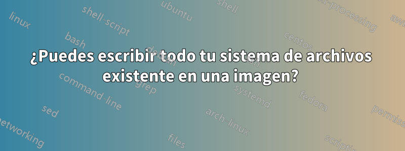 ¿Puedes escribir todo tu sistema de archivos existente en una imagen?