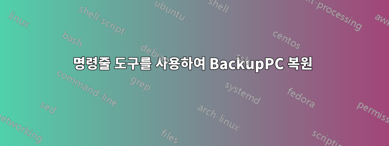 명령줄 도구를 사용하여 BackupPC 복원