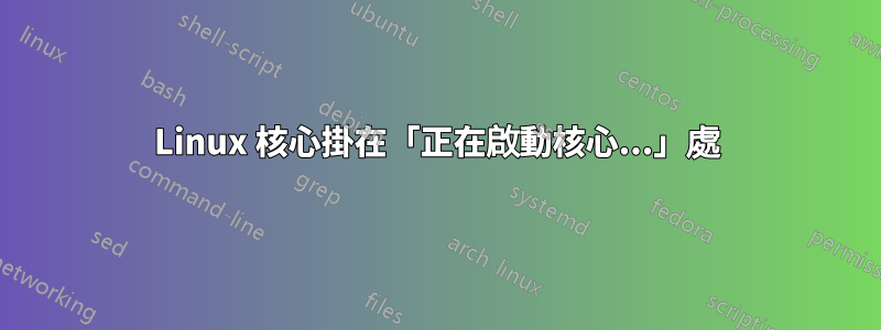 Linux 核心掛在「正在啟動核心...」處